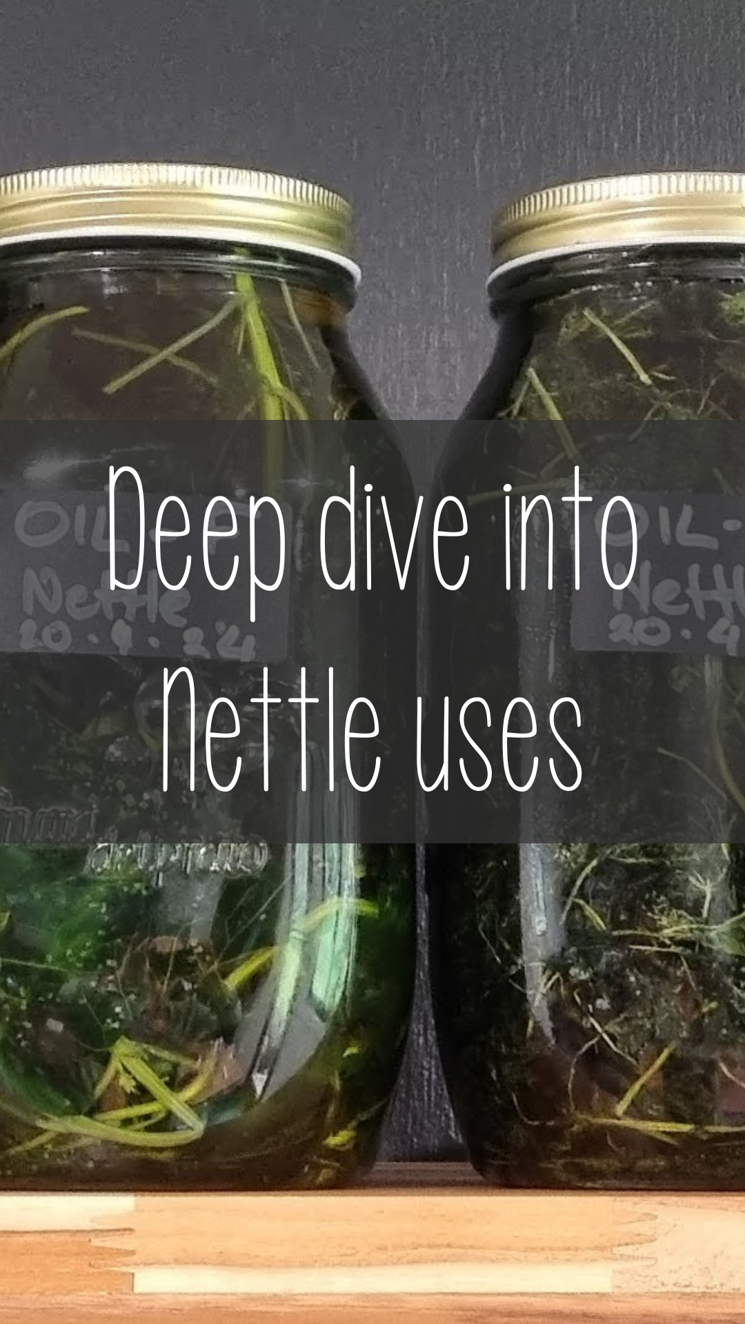 Stinging Nettle what it is good for