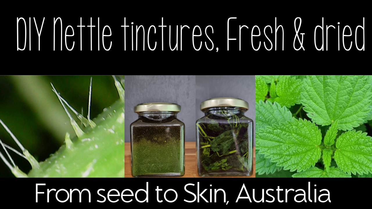 Stinging Nettle DIY Tinctures