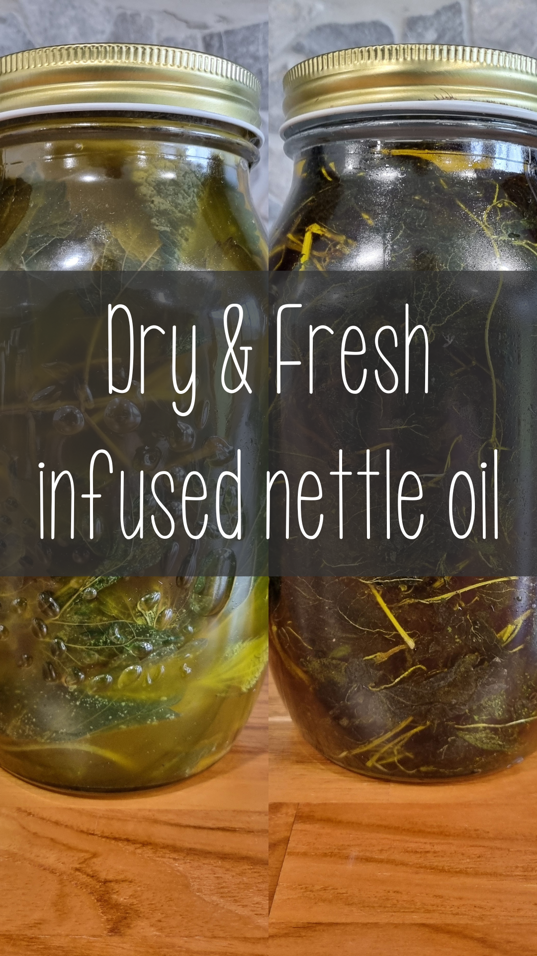 Stinging Nettle Oil Infusions DIY