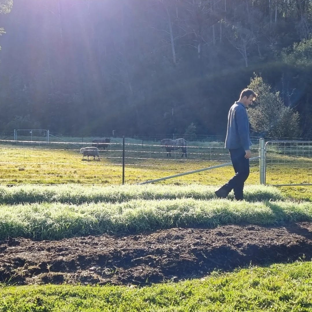 Green Manure Crops - Regenerative