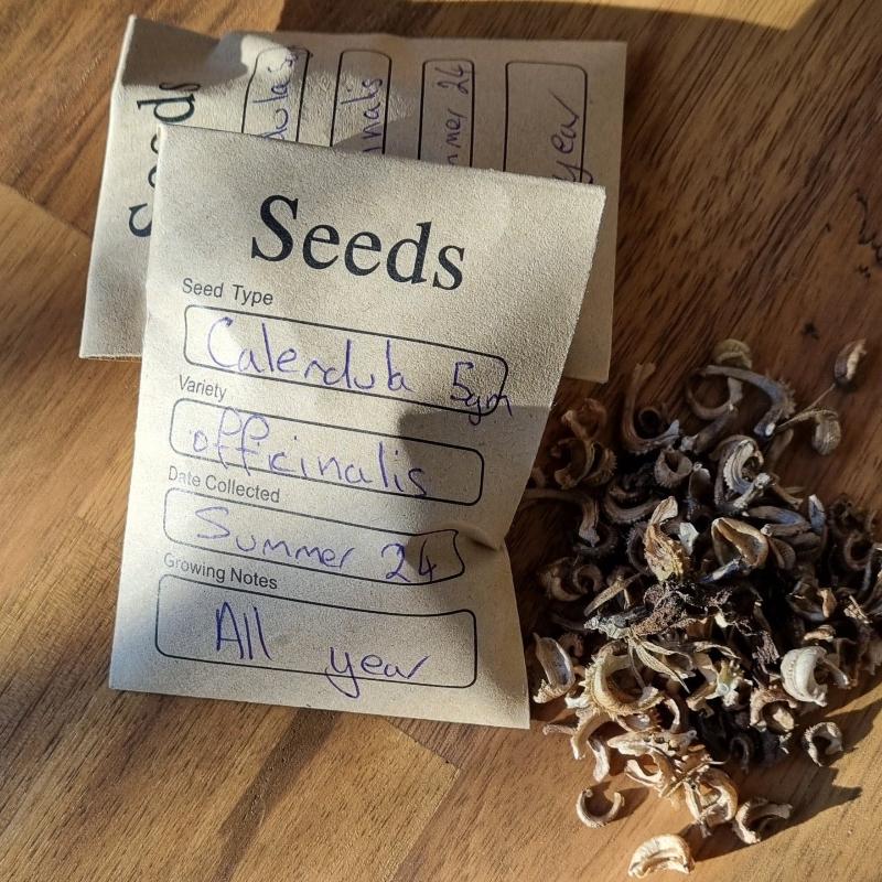 calendula seeds