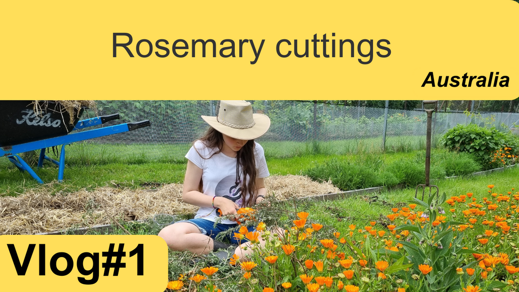 Vlog#1 Rosemary & farm life