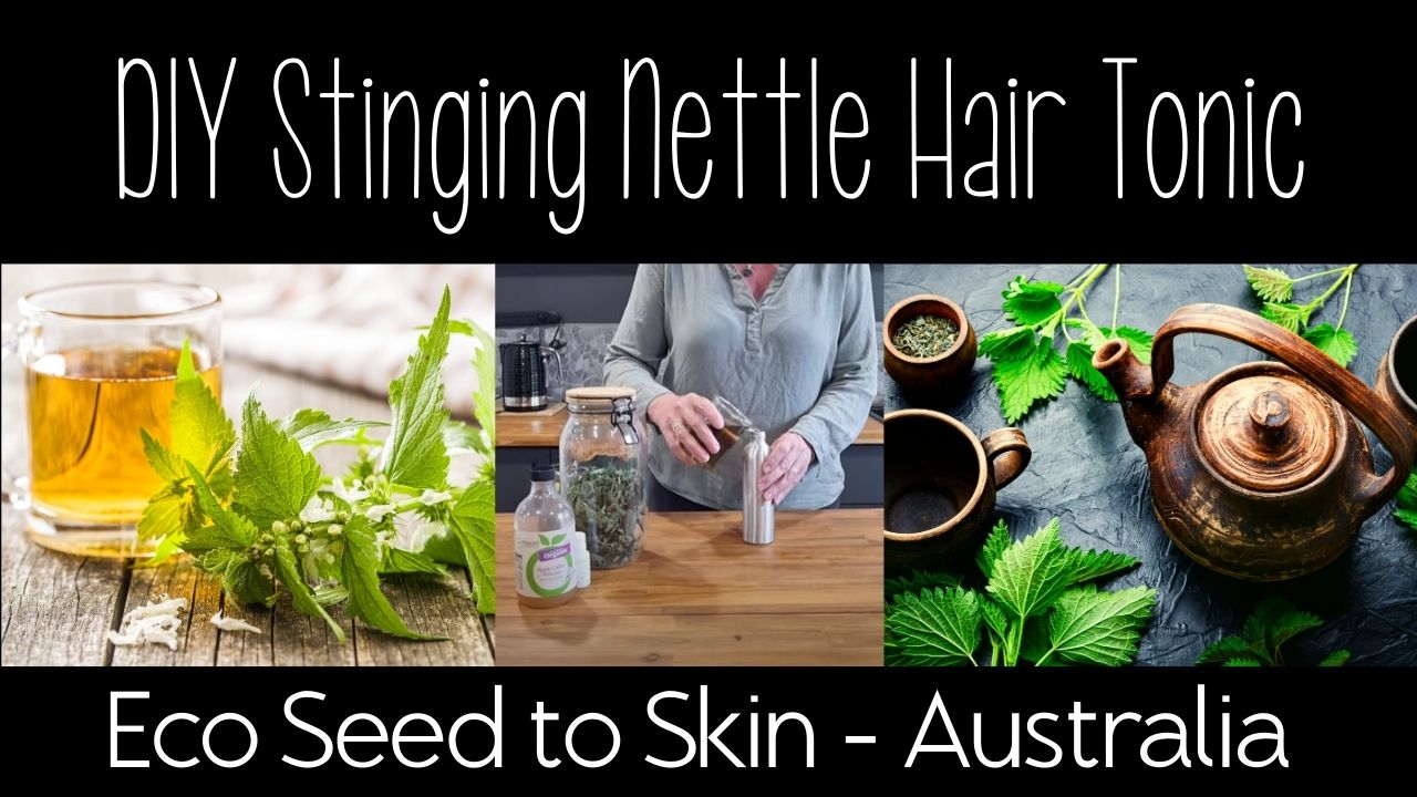 Stinging nettle hair tonic, rinse