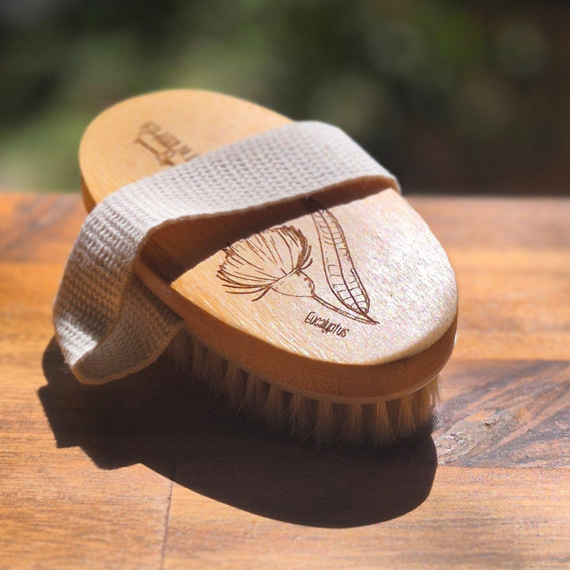 Eucalyptus body brush 