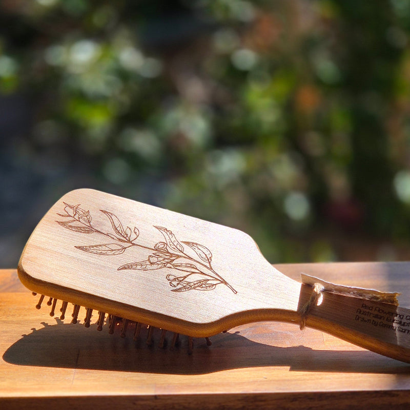 Eucalyptus brush full