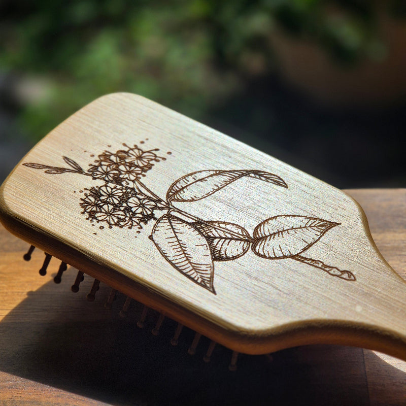 bamboobrush Lemon Myrtle